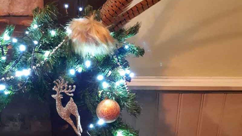 Sapar christmas meal 2018