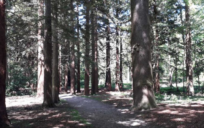 May rideout to Weston Park in Shropshire